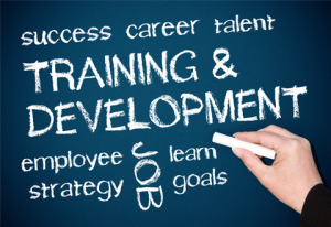 training-and-development